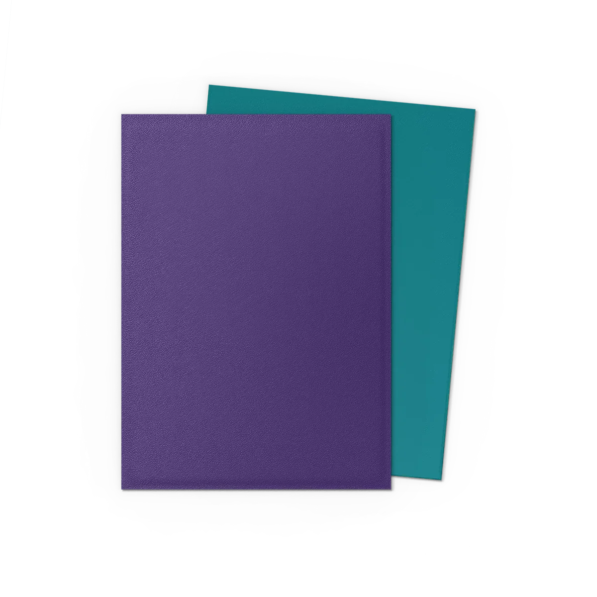 SOUL & PETROL - MATTE DUAL SLEEVES